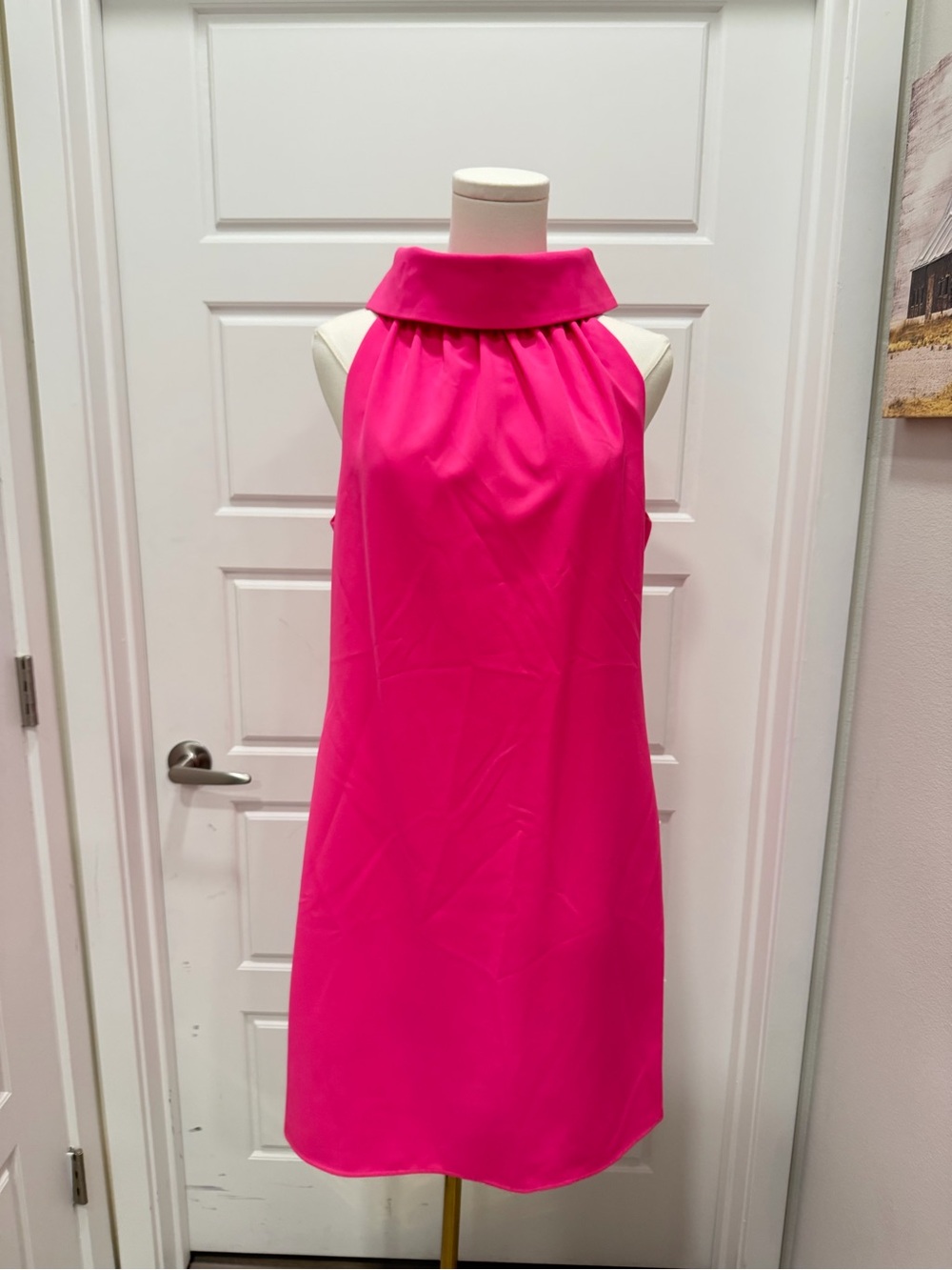 SAIL TO SABLE Hydra Hot Pink Cowl Portrait Neck Shift Dress
Barbiecore